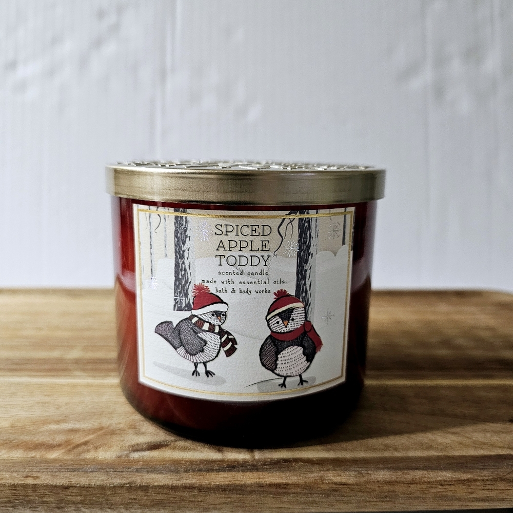 Bath & Body Works scented candle Spiced Apple Toddy jar 3 wick NWT